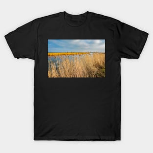 View over the River Yare in Acle on the Norfolk Broads T-Shirt